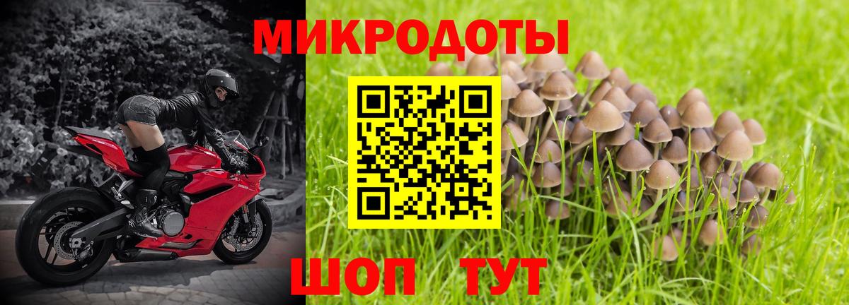 Галлюциногенные грибы прущие грибы Солнечногорск