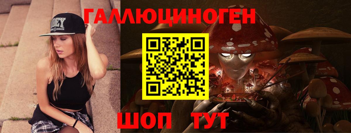Галлюциногенные грибы Cubensis  Вход с VPN  Солнечногорск 